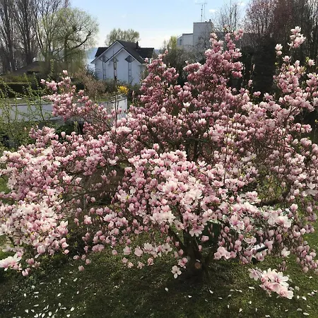 Апартаменты Uferresidenz *