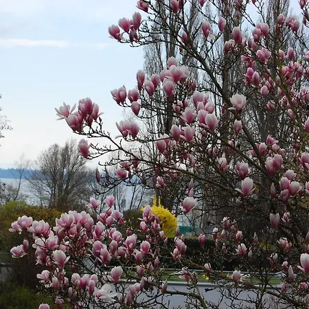 Uferresidenz Apartamento Uberlingen