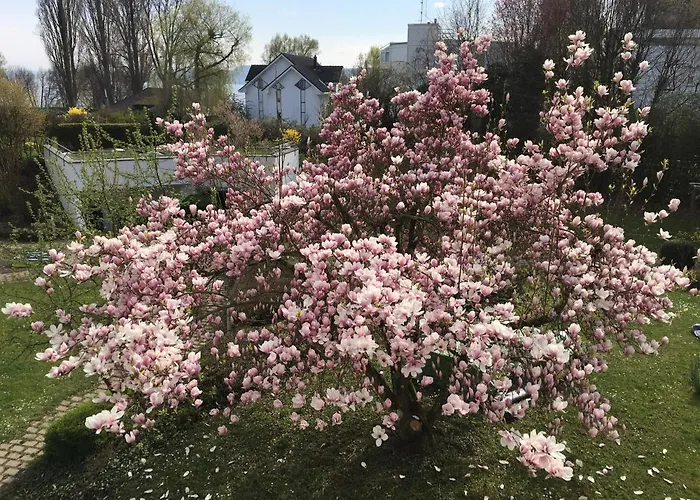 Apartament Uferresidenz *