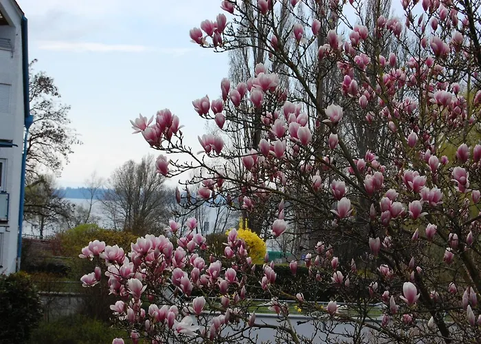 Uferresidenz Apartament Uberlingen